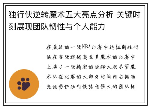 独行侠逆转魔术五大亮点分析 关键时刻展现团队韧性与个人能力