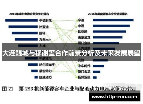 大连鲲城与穆谢奎合作前景分析及未来发展展望