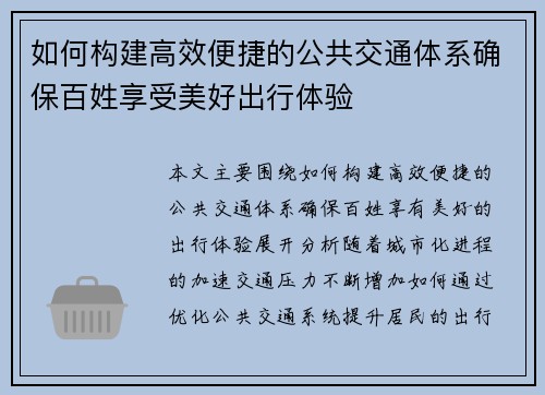 如何构建高效便捷的公共交通体系确保百姓享受美好出行体验