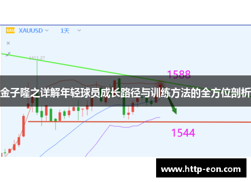 金子隆之详解年轻球员成长路径与训练方法的全方位剖析 金子隆之详解年轻球员成长路径与训练方法的全方位剖析