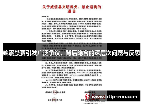 魏震禁赛引发广泛争议，背后隐含的深层次问题与反思